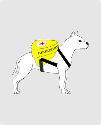 Купить Выкройки для собак мелкой породы Выкройка: рюкзак-шлейка Р-А-1001 арт. ВКК-2646-1-ВП0406 оптом в Иваново