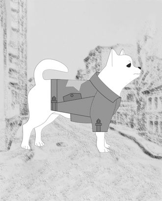 Купить Выкройки для собак мелкой породы Выкройка: куртка Р-11-1002 арт. ВКК-3113-1-ВП0789 оптом в Иваново