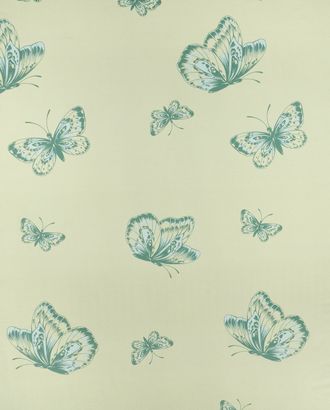 Каролина (Перкаль 220 см) арт. ПРК-357-2-0163.353 Каролина (Перкаль 220 см) арт. ПРК-357-2-0163.353