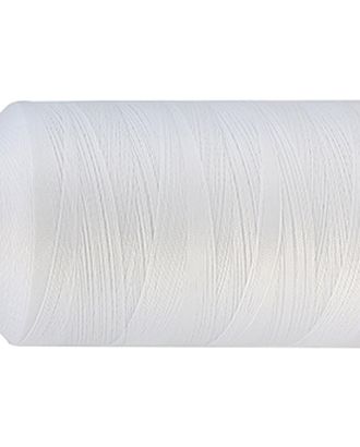 Филаментная нить 210D/3, 3000 м, 100% п/э, 'Астра' (9021 белый) арт. АРС-802-1-АРС0001023696 Филаментная нить 210D/3, 3000 м, 100% п/э, 'Астра' (9021 белый) арт. АРС-802-1-АРС0001023696