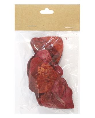 YW025 Декоративные элементы из коры дерева 'Сердце', 5см, 10шт/уп (красный) арт. АРС-27611-1-АРС0001039183 YW025 Декоративные элементы из коры дерева 'Сердце', 5см, 10шт/уп (красный) арт. АРС-27611-1-АРС0001039183
