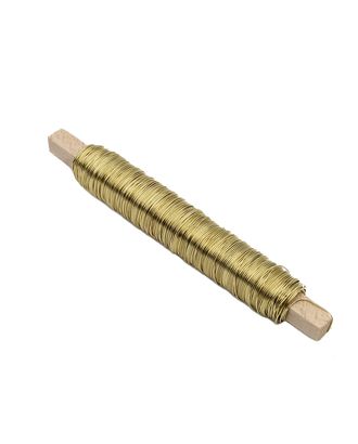 62220041 Проволока для флористики, диам. 0,50мм, цв. золото, 50м / 100г Glorex арт. АРС-27730-1-АРС0001055264 62220041 Проволока для флористики, диам. 0,50мм, цв. золото, 50м / 100г Glorex арт. АРС-27730-1-АРС0001055264