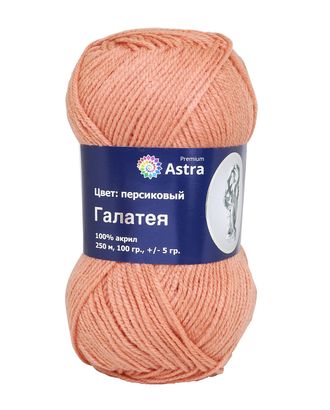 Пряжа Astra Premium 'Галатея' 100гр. 250м (100% акрил) (04 персиковый) арт. АРС-4979-1-АРС0001096905 Пряжа Astra Premium 'Галатея' 100гр. 250м (100% акрил) (04 персиковый) арт. АРС-4979-1-АРС0001096905