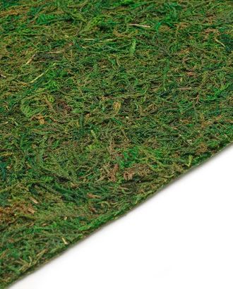 BH181AL Мох листовой 45*40*0.5см арт. АРС-28890-1-АРС0001155253 BH181AL Мох листовой 45*40*0.5см арт. АРС-28890-1-АРС0001155253
