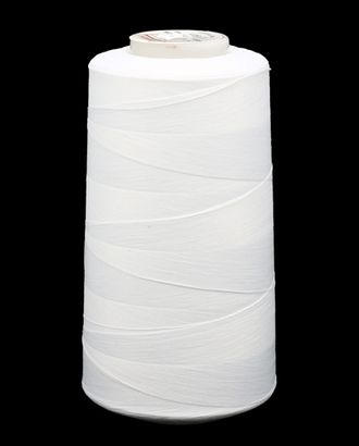 Нитки Euron E 150/1 №180 5000м (2219 белый) арт. АРС-10396-1-АРС0001182923 Нитки Euron E 150/1 №180 5000м (2219 белый) арт. АРС-10396-1-АРС0001182923