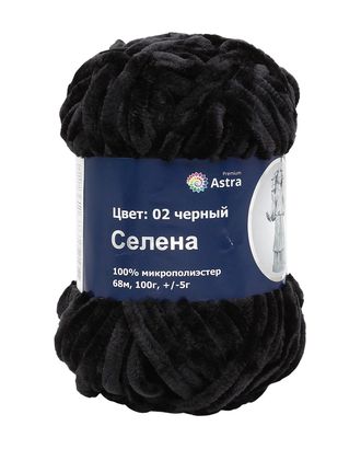Пряжа Astra Premium 'Селена' 100гр. 68м (100% микрополиэстер) (02 черный) арт. АРС-26861-1-АРС0001184308 Пряжа Astra Premium 'Селена' 100гр. 68м (100% микрополиэстер) (02 черный) арт. АРС-26861-1-АРС0001184308