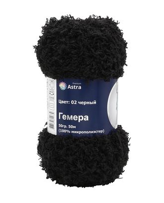 Пряжа Astra Premium 'Гемера' 50гр. 50м (100% микрополиэстер) (02 черный) арт. АРС-10538-1-АРС0001184371 Пряжа Astra Premium 'Гемера' 50гр. 50м (100% микрополиэстер) (02 черный) арт. АРС-10538-1-АРС0001184371