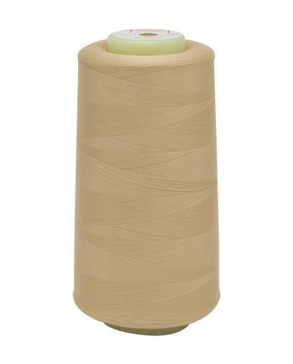 Нитки Euron U 150/1 №180 5000м (2119) арт. АРС-23759-1-АРС0001204570 Нитки Euron U 150/1 №180 5000м (2119) арт. АРС-23759-1-АРС0001204570