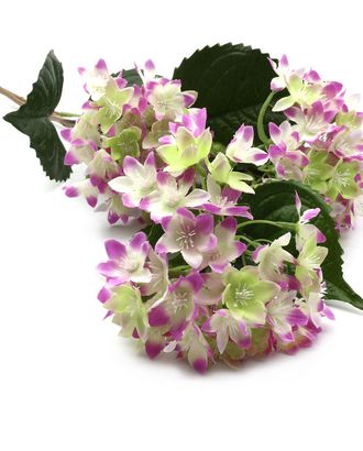 HY125-36020 Гортензии, 70см (D Лавандовый) арт. АРС-28155-1-АРС0001218982 HY125-36020 Гортензии, 70см (D Лавандовый) арт. АРС-28155-1-АРС0001218982