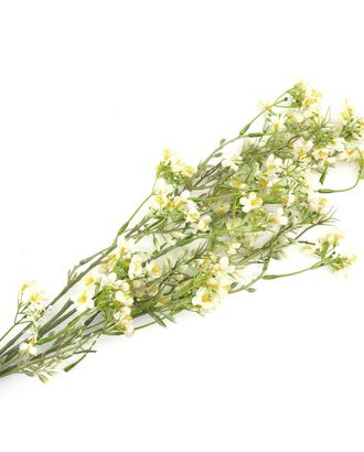 HY125-36023 Гипсофила, 90см (F Белый) арт. АРС-28162-1-АРС0001218989 HY125-36023 Гипсофила, 90см (F Белый) арт. АРС-28162-1-АРС0001218989