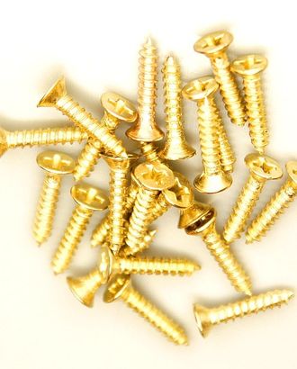 Шуруп 2*10 упак/10гр (золото) арт. АРС-15426-1-АРС0001226257 Шуруп 2*10 упак/10гр (золото) арт. АРС-15426-1-АРС0001226257