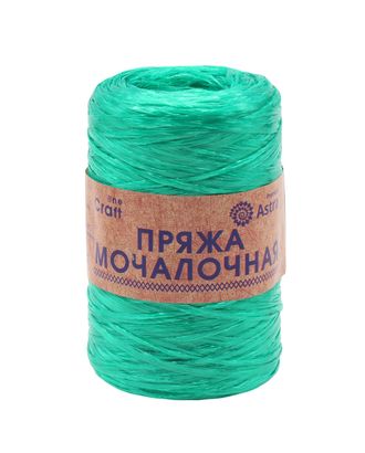Пряжа Astra Premium 'Мочалочная' 50гр. 200м (100% полипропилен) (темный изумруд) арт. АРС-24017-1-АРС0001228213 Пряжа Astra Premium 'Мочалочная' 50гр. 200м (100% полипропилен) (темный изумруд) арт. АРС-24017-1-АРС0001228213