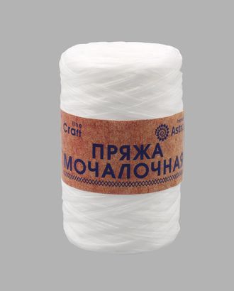 Пряжа Astra Premium 'Мочалочная' 50гр. 200м (100% полипропилен) (матовый белый) арт. АРС-24023-1-АРС0001228228 Пряжа Astra Premium 'Мочалочная' 50гр. 200м (100% полипропилен) (матовый белый) арт. АРС-24023-1-АРС0001228228