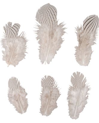 Перья Rayher гусинные с рисунком зебры арт. ГЕЛ-2474-1-ГЕЛ0121098 Перья Rayher гусинные с рисунком зебры арт. ГЕЛ-2474-1-ГЕЛ0121098