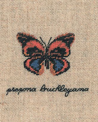 Набор для вышивания:"PAPILLON PREPONA BUCKLEYANA" (Бабочка PREPONA BUCKLEYANA) арт. ГЕЛ-10534-1-ГЕЛ0163931 Набор для вышивания:"PAPILLON PREPONA BUCKLEYANA" (Бабочка PREPONA BUCKLEYANA) арт. ГЕЛ-10534-1-ГЕЛ0163931