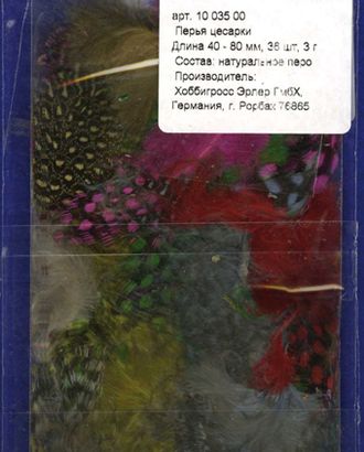 Перья цесарки арт. ГЕЛ-18130-1-ГЕЛ0019211 Перья цесарки арт. ГЕЛ-18130-1-ГЕЛ0019211
