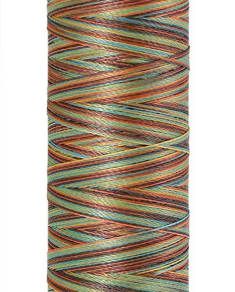 Нить вышивальная мультиколор POLY SHEEN MULTI, 200 м арт. ГЕЛ-10027-1-ГЕЛ0022834 Нить вышивальная мультиколор POLY SHEEN MULTI, 200 м арт. ГЕЛ-10027-1-ГЕЛ0022834