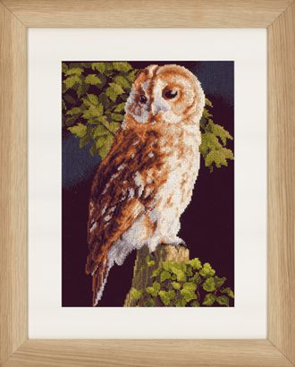 Набор для вышивания "Owl" арт. ГЕЛ-10540-1-ГЕЛ0074821 Набор для вышивания "Owl" арт. ГЕЛ-10540-1-ГЕЛ0074821